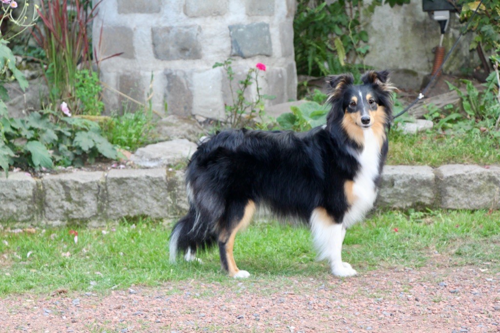 Odyssee noire Des Terres De Lunard